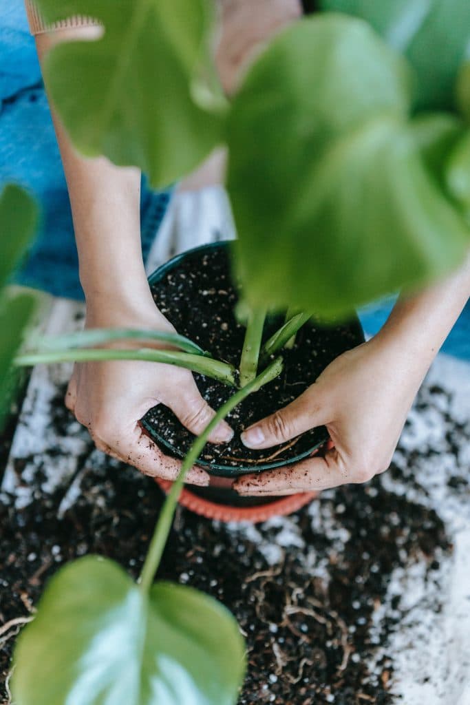 10 Tips to Keep Your Calgary Home Cool in the Summer Months