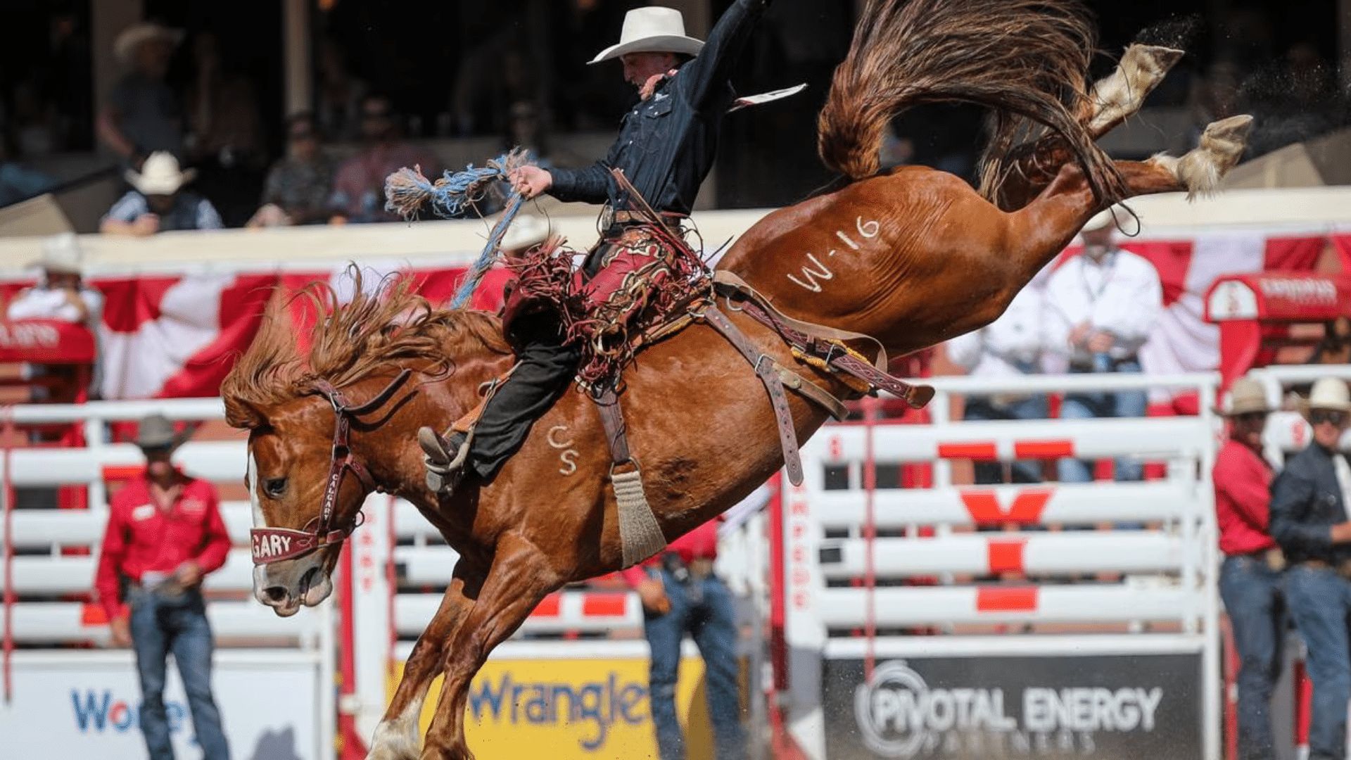 A cowboy riding a bucking horse at the Calgary Stampede, showcasing the city’s western heritage and cultural traditions